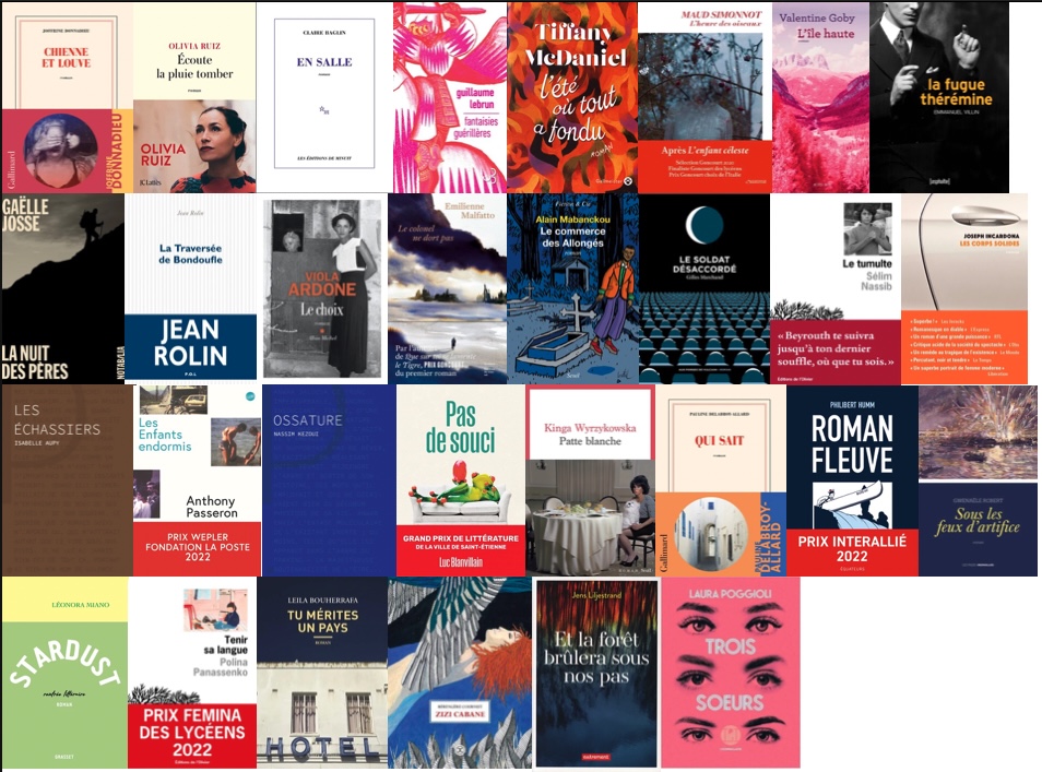 30 titres sélectionnés pour le prix Libraires en Seine 2023 - Livres Hebdo