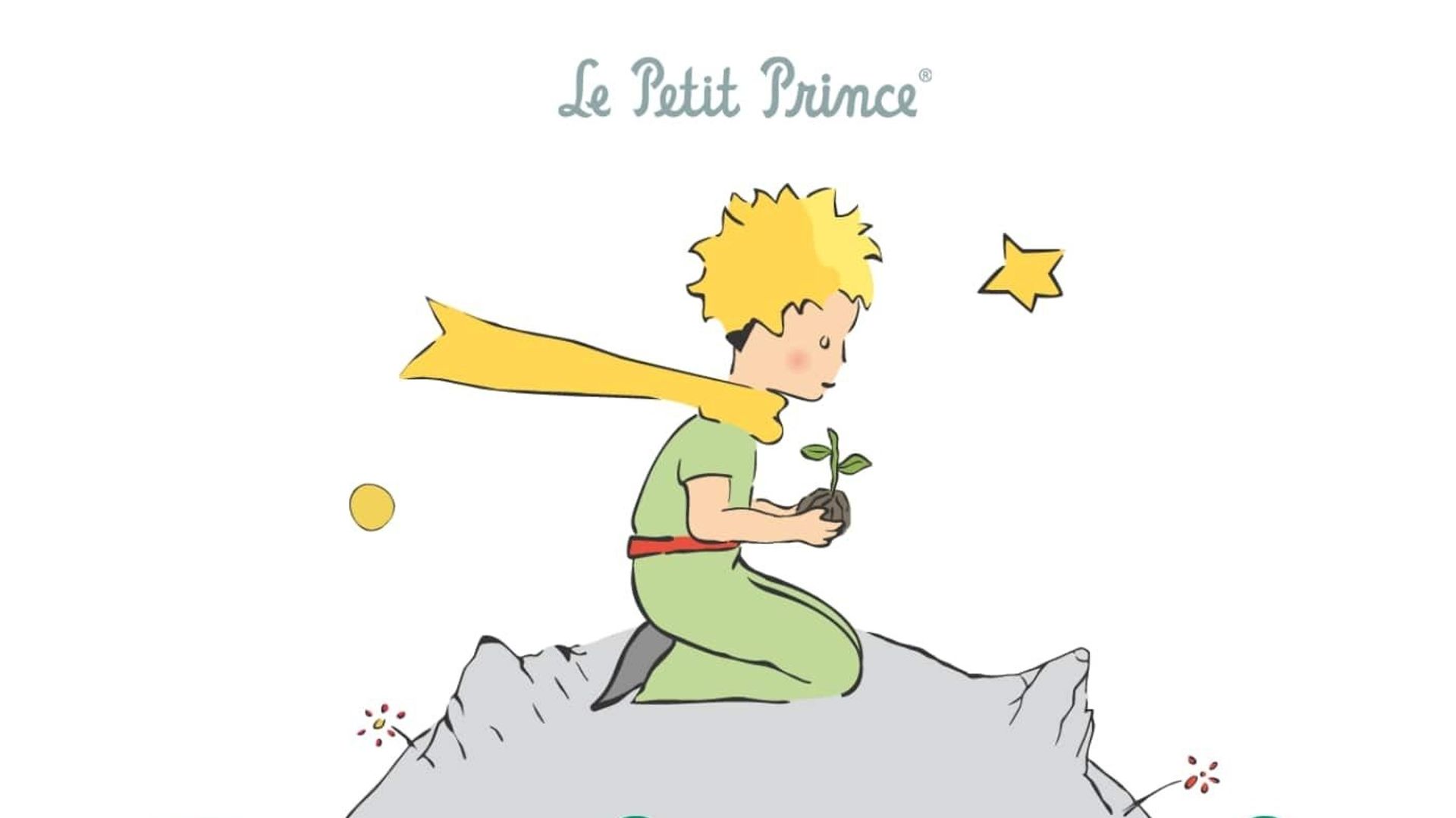 Le Petit Prince en Blu Ray : Le Petit Prince (Blu-ray 3D) - Édition Limitée  Blu-ray 3D & 2D + DVD - AlloCiné