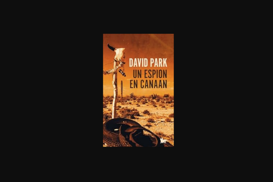 David Park 