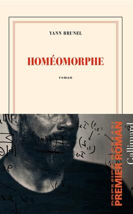 Homéomorphe.jpg