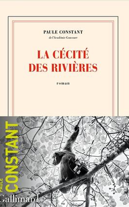 La cecite des rivieres_Gallimard.jpg