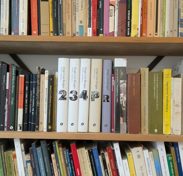 Livres espagnols