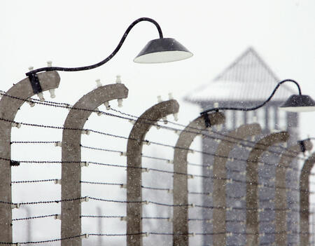 Les barbelés du camp d'Auschwitz photographiés par Sean Gallup (AFP)