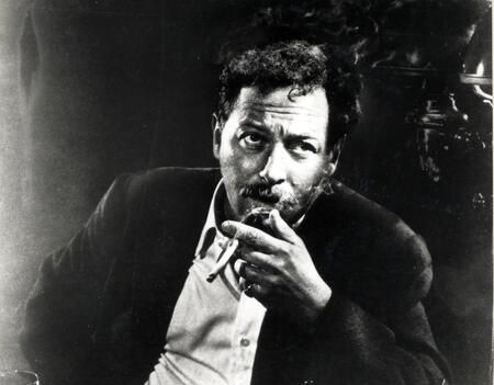 Tennessee Williams Nouvelles de jeunesse Robert Laffont0.jpg