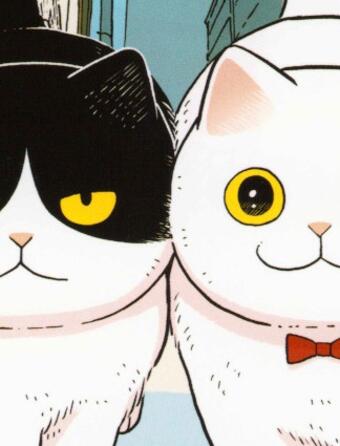 Hachi & Maruru : chats des rues T.1 de Yuri Sonoda