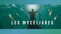 Les Mycéliades