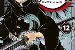 Demon slayer : Kimetsu no yaiba. Vol. 12.jpg