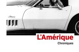 L'Amérique : 1965-1990 : chroniques.jpg