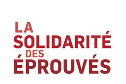 La solidarite des eprouves  pour une histoire _Payot_9782228931649.jpg