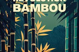 Revolution bambou_Ed des Equateurs_9782382845370.jpg