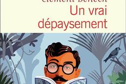 Un vrai depaysement_Flammarion_9782080277336.jpg